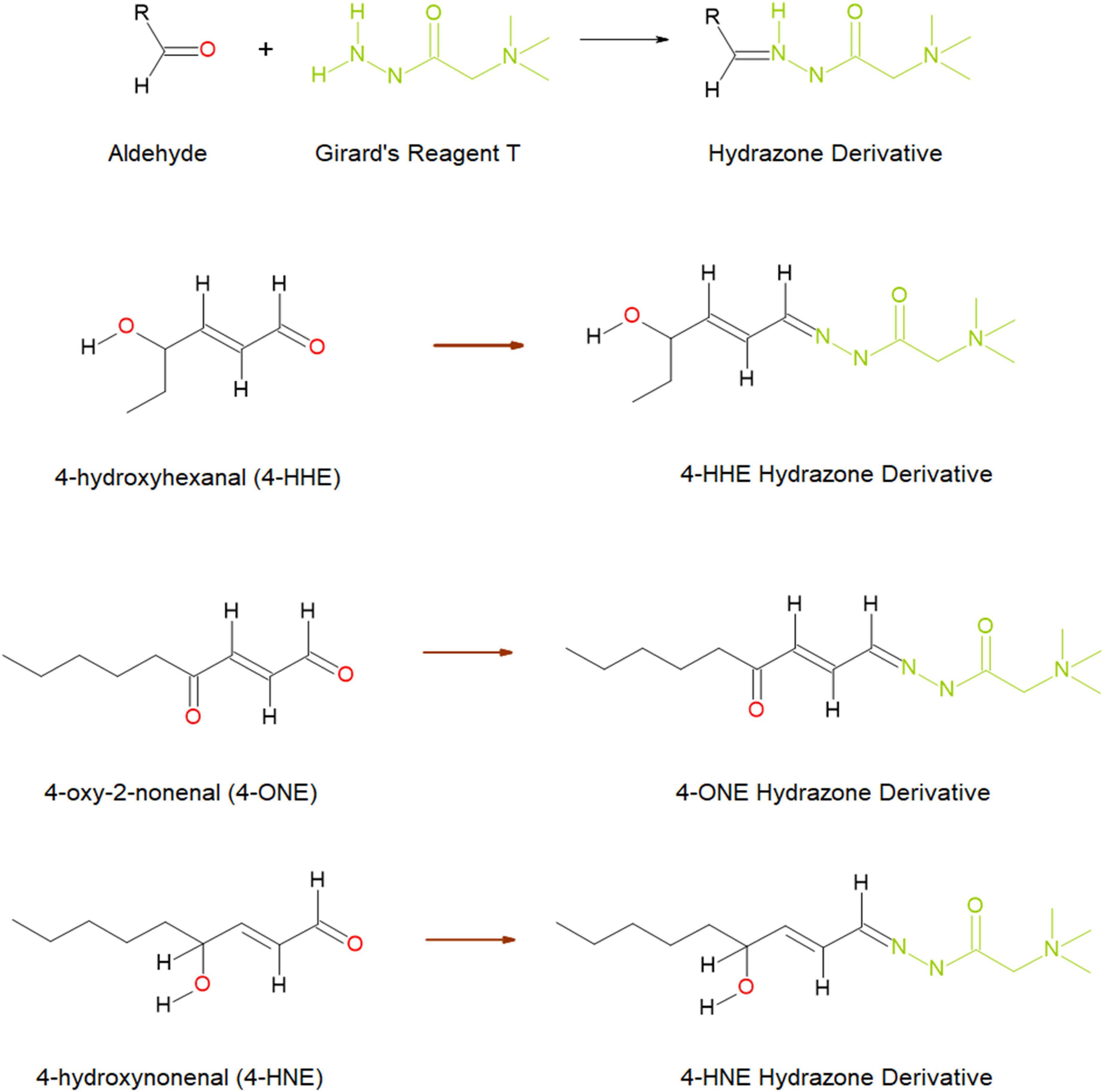 Analysis of reactive aldehydes in urine and plasma of type-2 diabetes mellitus patients through liquid chromatography-mass spectrometry: Reactive aldehydes as potential markers of diabetic nephropathy